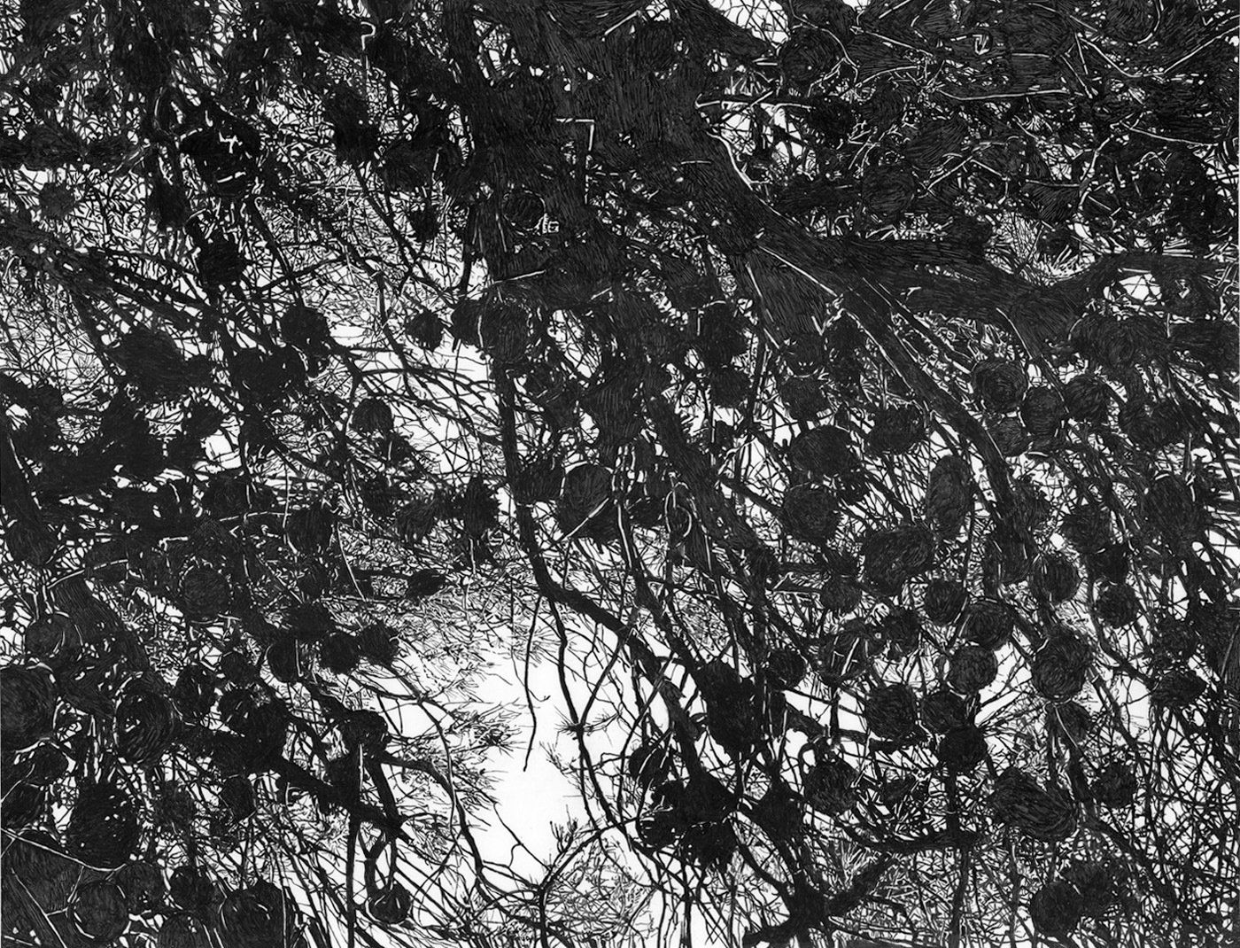 Antigoni Kavvatha, Artists on Hydra Island Greece