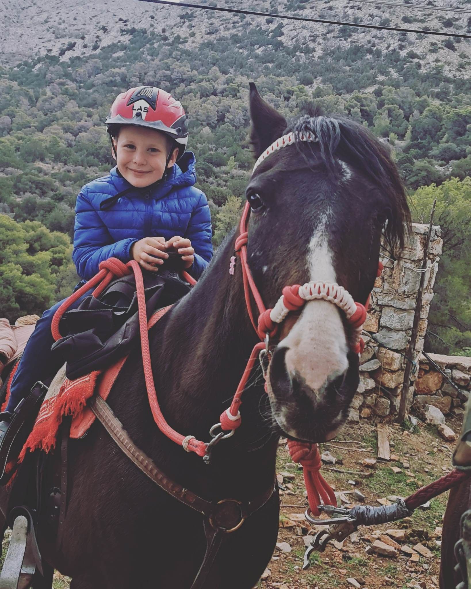 Aphrodite and Aris two of the trekking horses you will meet with Harriet's Hydra Horses on Hydra Island Greece.