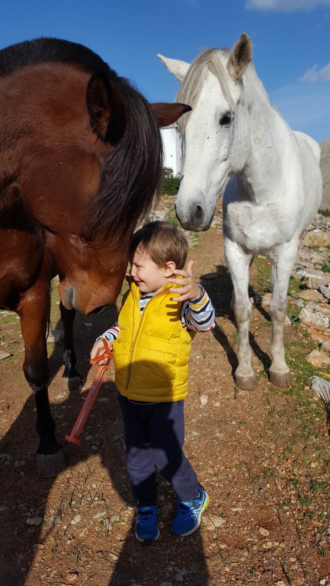 Anastasis joins Mum's team at Harriets Hydra Horses on Hydra Island Greece.