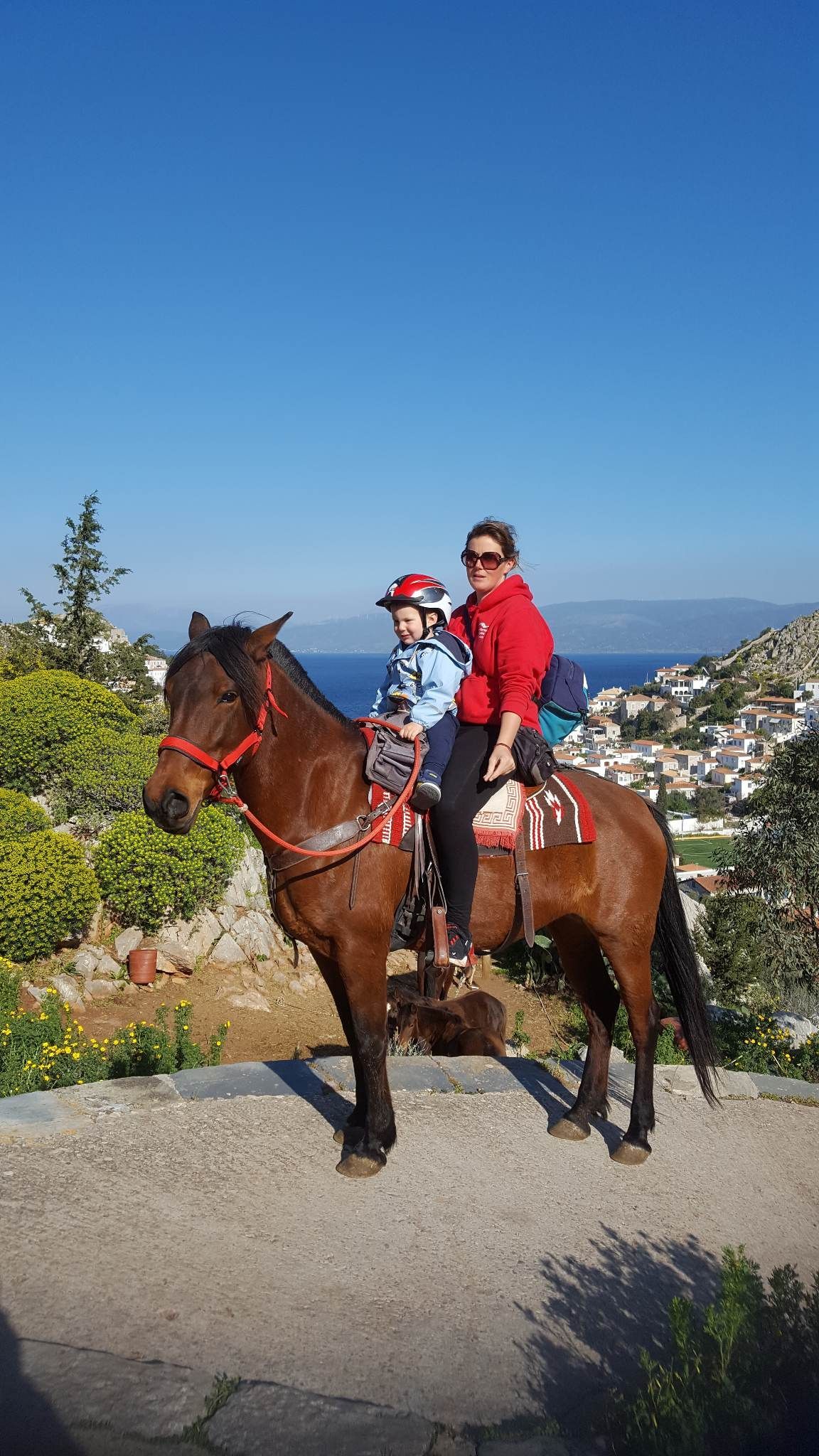 Anastasis joins Mum's team at Harriets Hydra Horses on Hydra Island Greece.