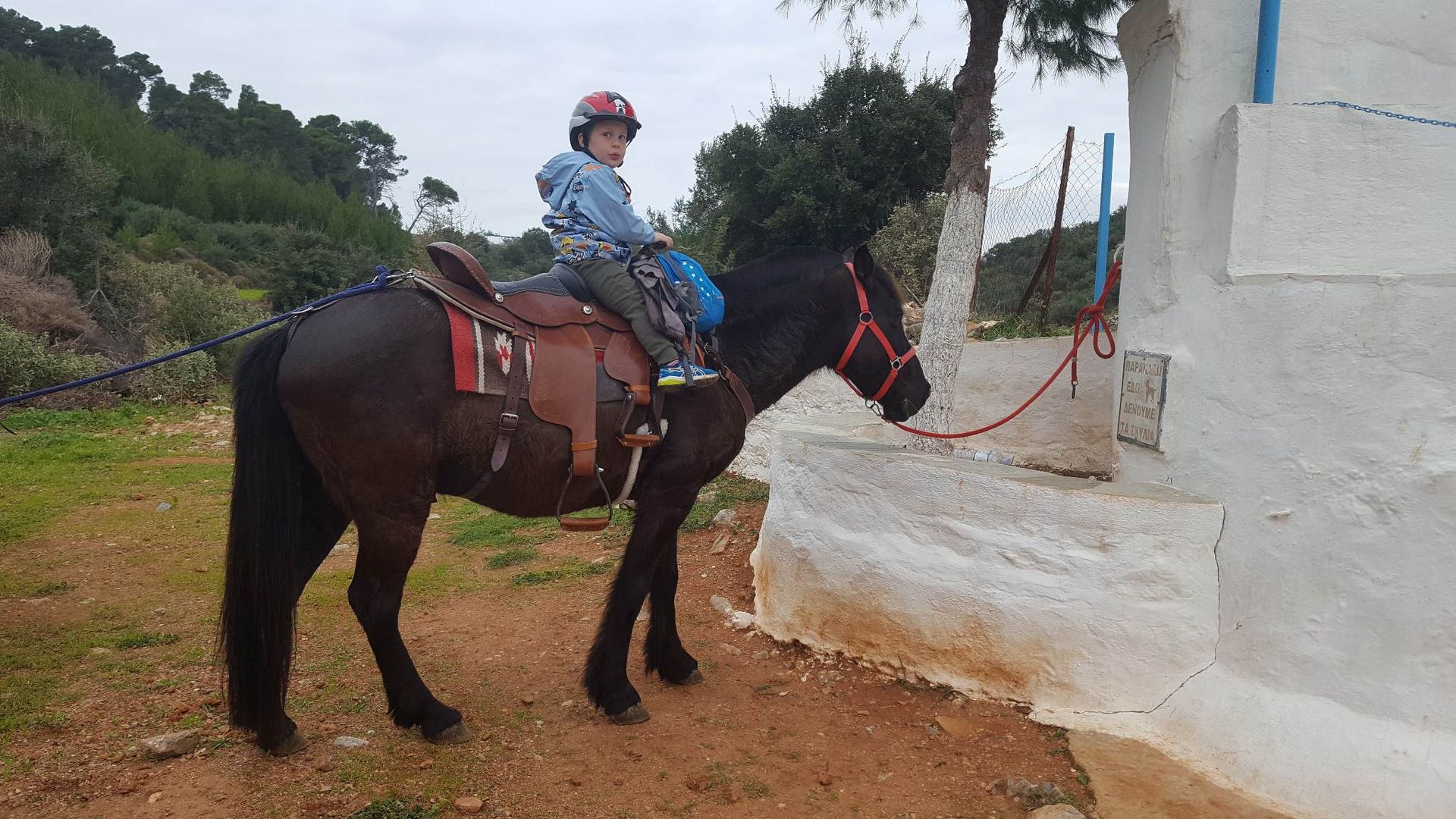 Anastasis joins Mum's team at Harriets Hydra Horses on Hydra Island Greece.