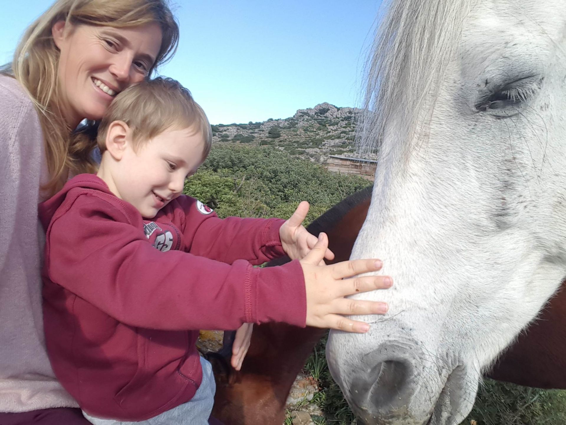 Anastasis joins Mum's team at Harriets Hydra Horses on Hydra Island Greece.