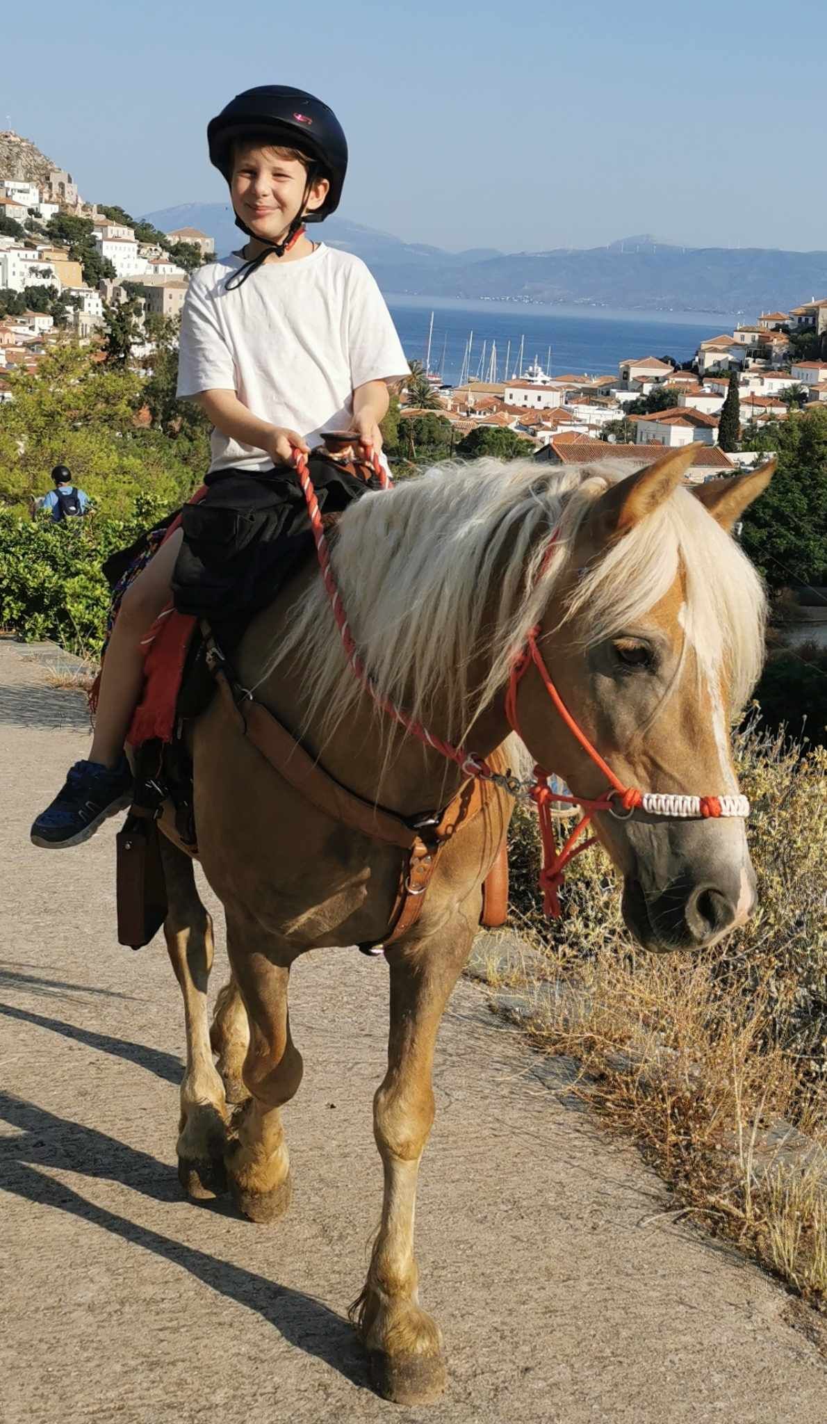 Louis of Harriet's Hydra Horses - horse treks on Hydra Island Greece