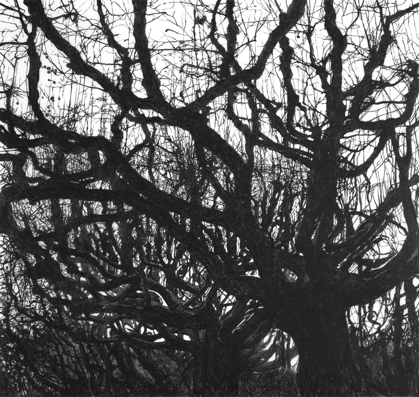 Antigoni Kavvatha, Artists on Hydra Island Greece