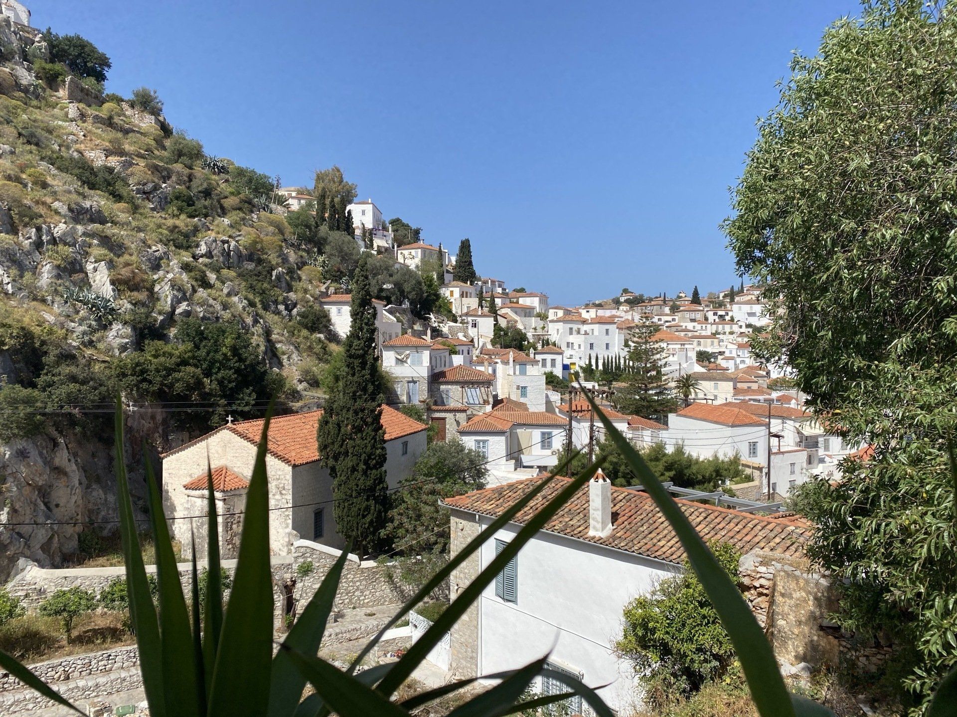 Hydra holiday rentals, Althea Garden House on Hydra Island Greece.