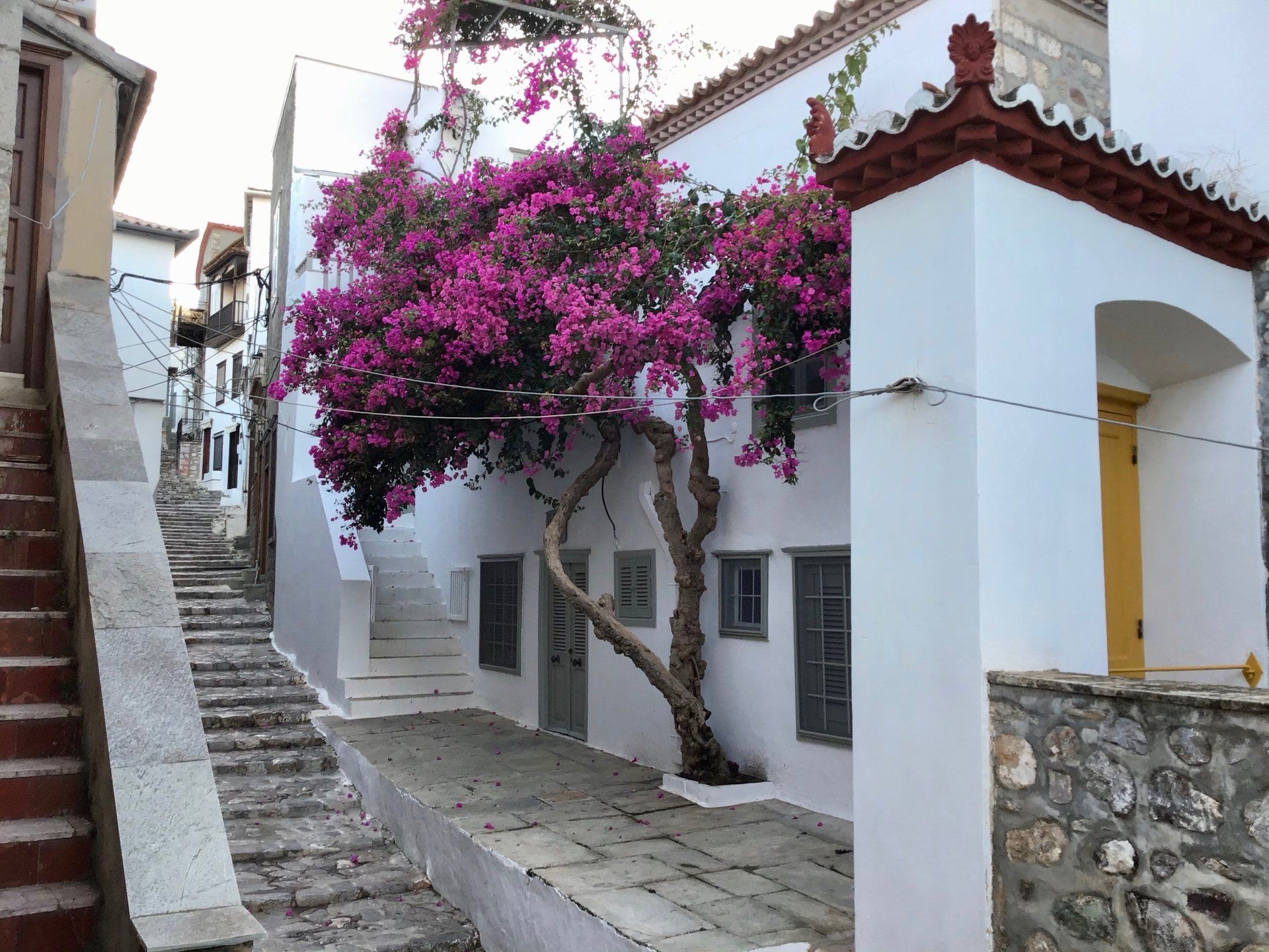 Bougainvillea terrace on Lignou Street on Hydra Island Greece