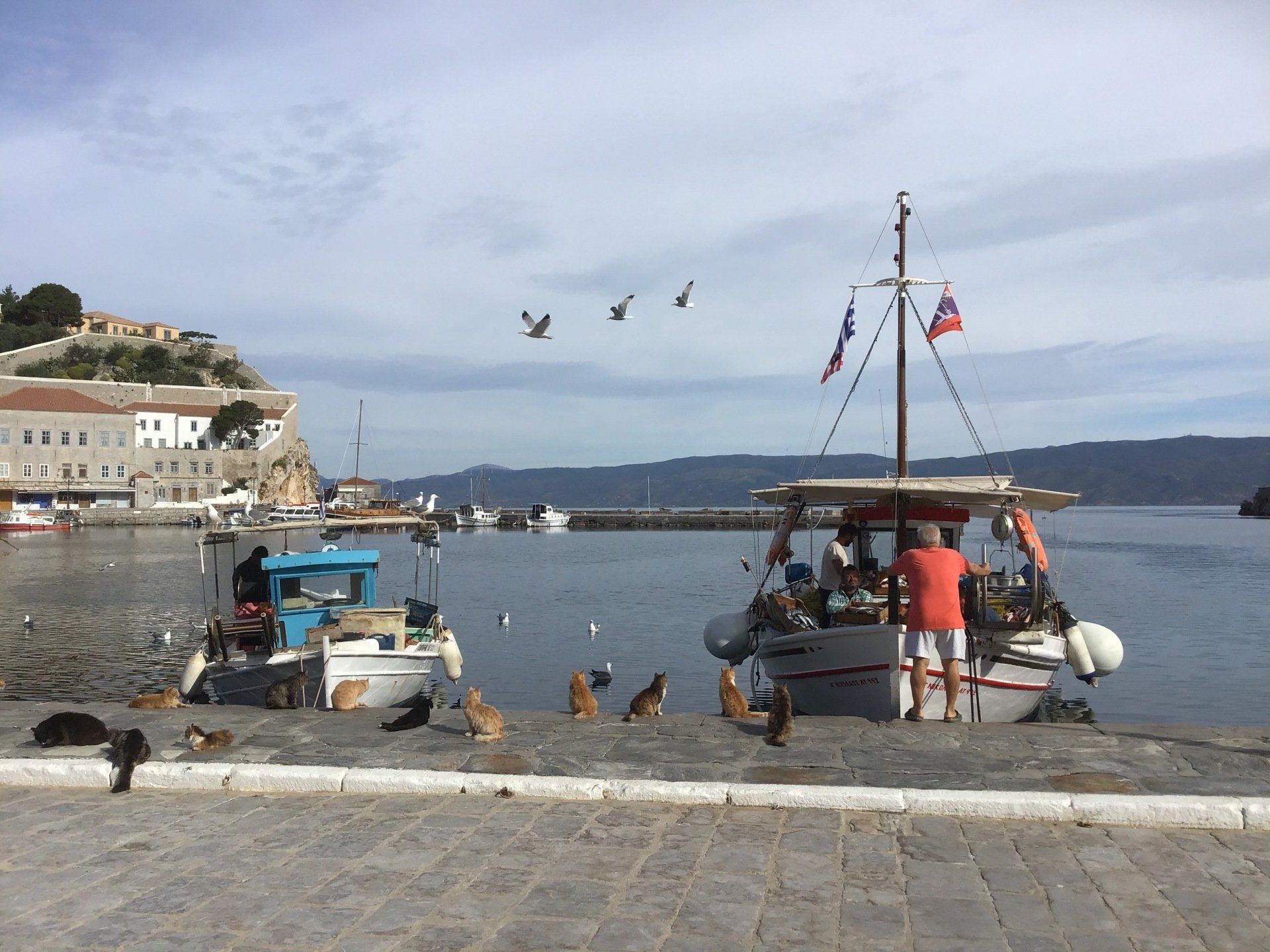 The sea fishing fishermen of Hydra Island Greece.