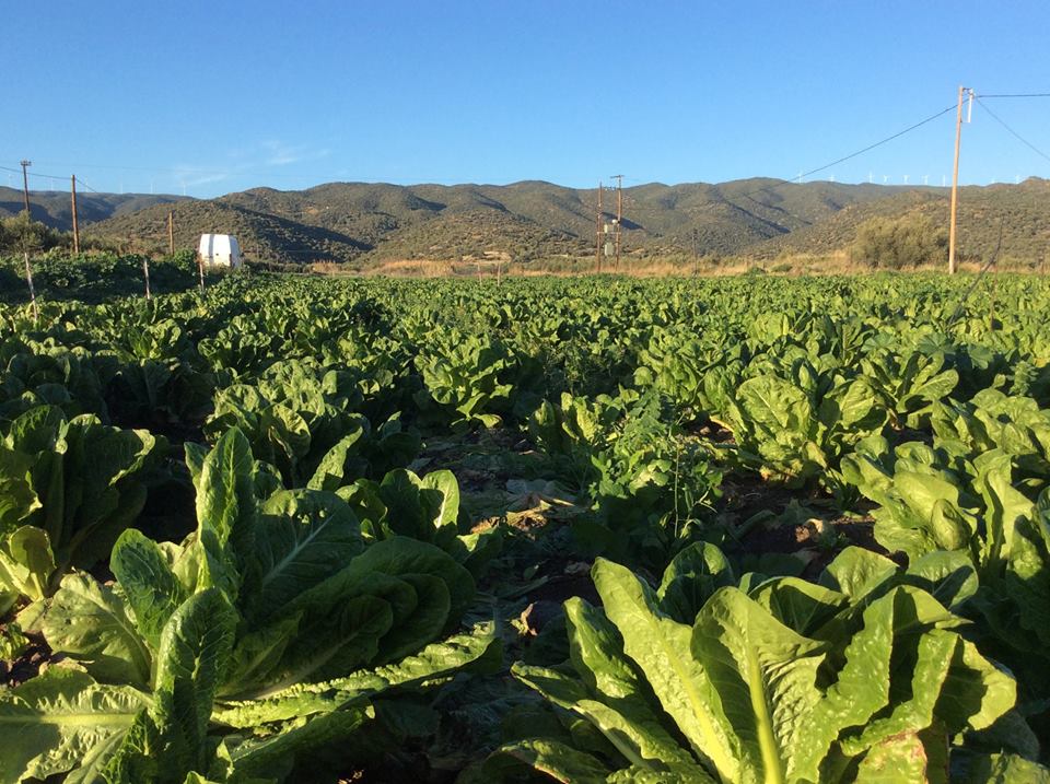 Metochi (mainland Greece), secure parking, then passenger ferry to Hydra Island Greece