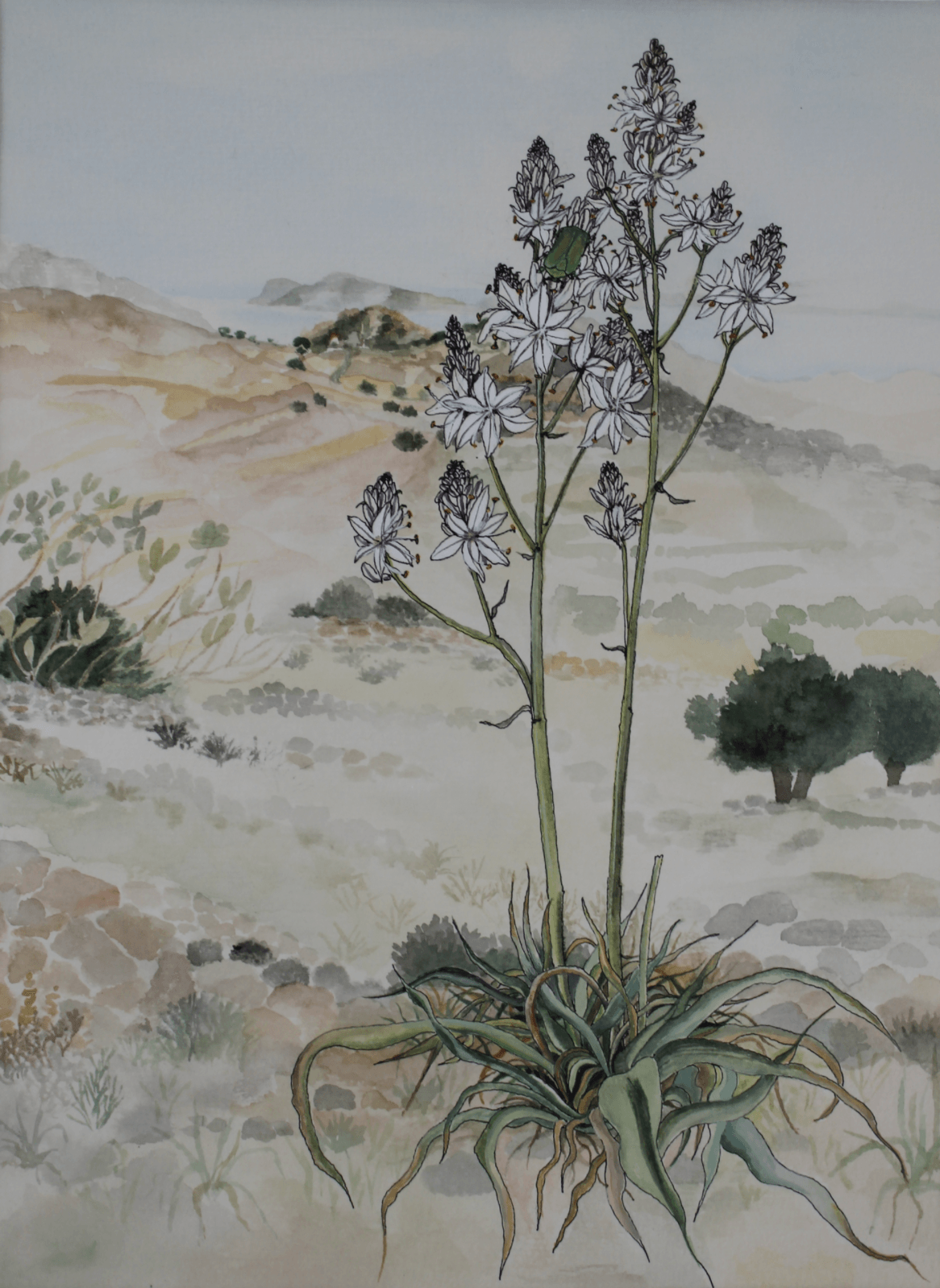 Angelika Lialios Freitag, Artists on Hydra Island Greece