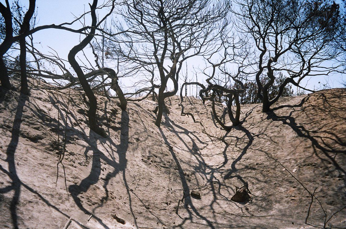 Antigoni Kavvatha, Artists on Hydra Island Greece