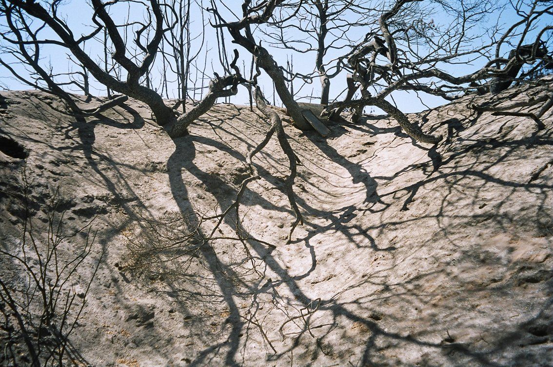 Antigoni Kavvatha, Artists on Hydra Island Greece