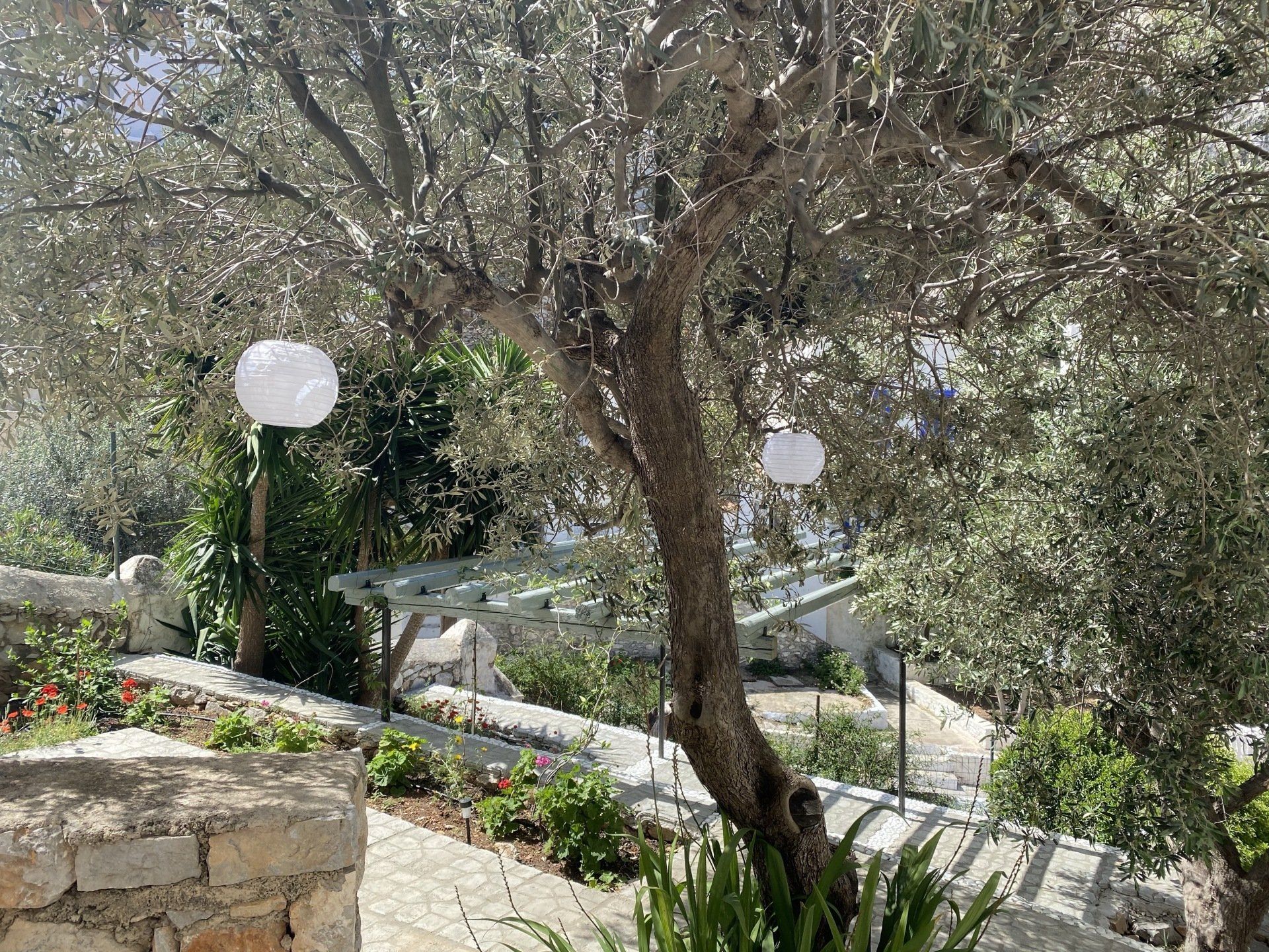 Hydra holiday rentals, Althea Garden House on Hydra Island Greece.