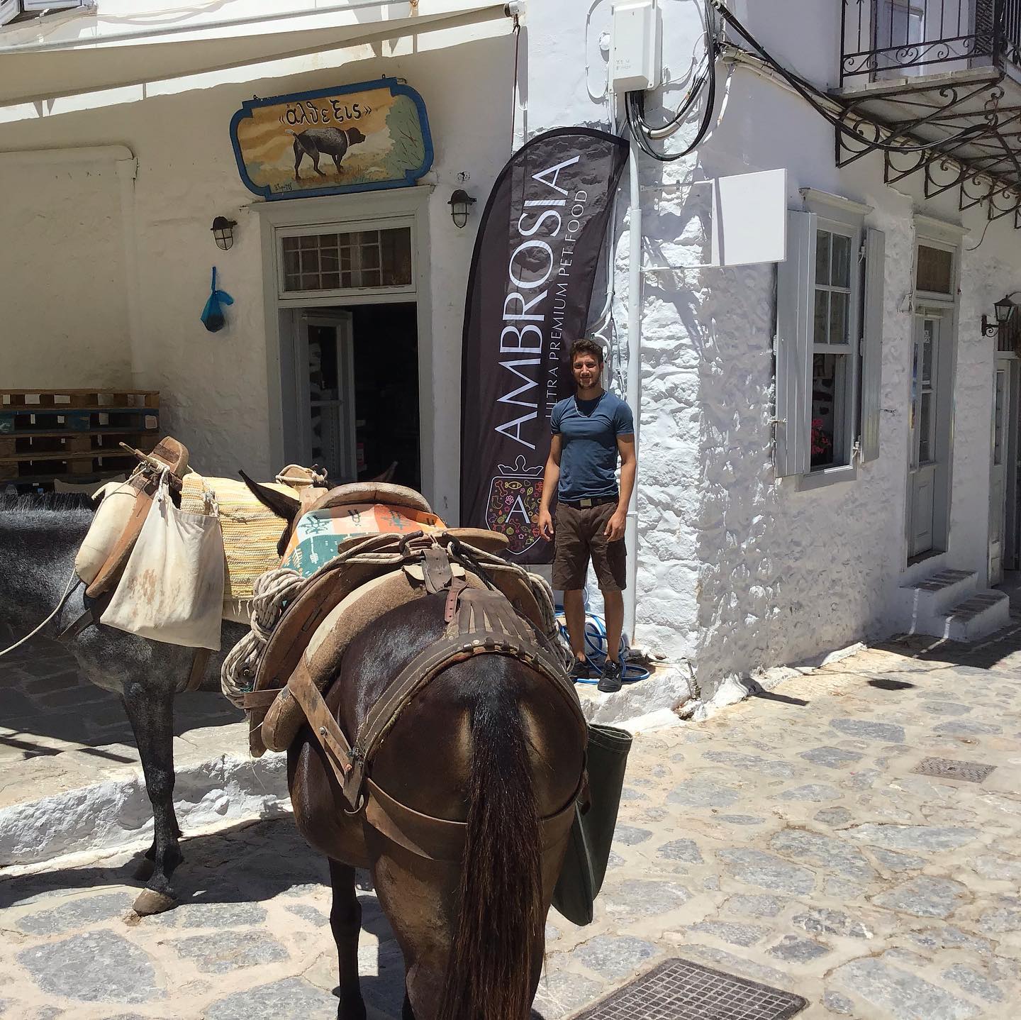 George Rabias Petshop on the Greek Island of Hydra.