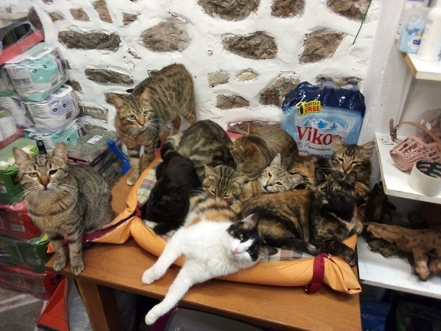 George Rabias Petshop on the Greek Island of Hydra.