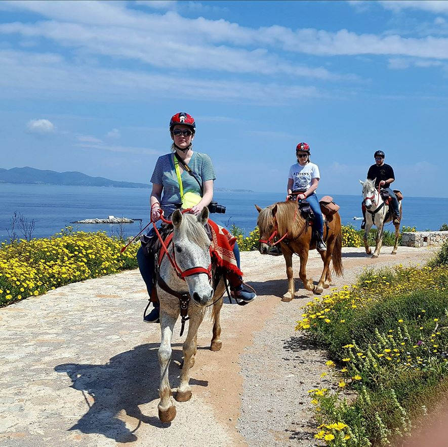 Harriet's Hydra Horses on Hydra Island Greece
