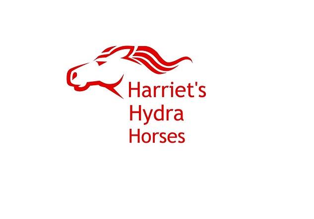 Harriet's Hydra Horses is back on Facebook after a trumatic week doing battle with hackers.