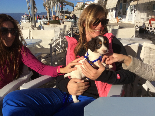 December 13th 2015 Winter Holidays on Hydra Island Greece, on HydraDirect