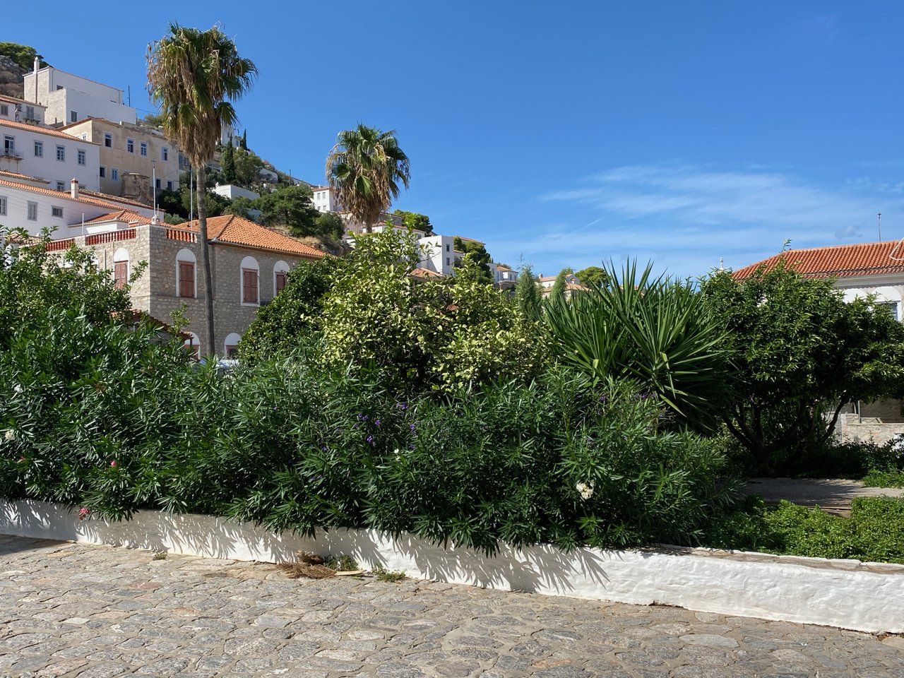 The artists' garden on Hydra Island Greece.