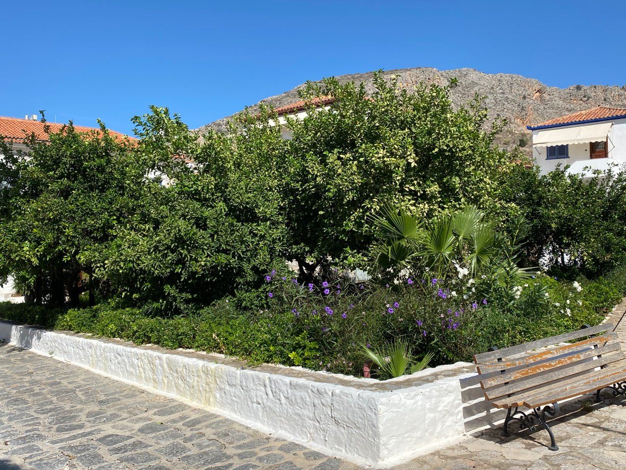 The artists' garden on Hydra Island Greece.