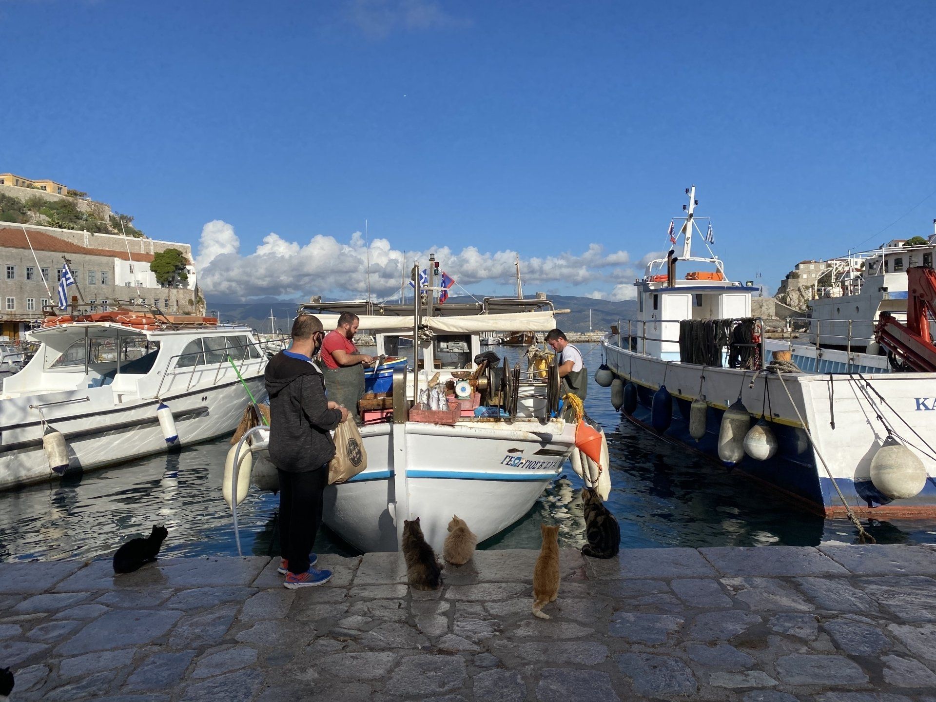 Buying fish fresh from the fishing boats in Hydra harbour, Greece.