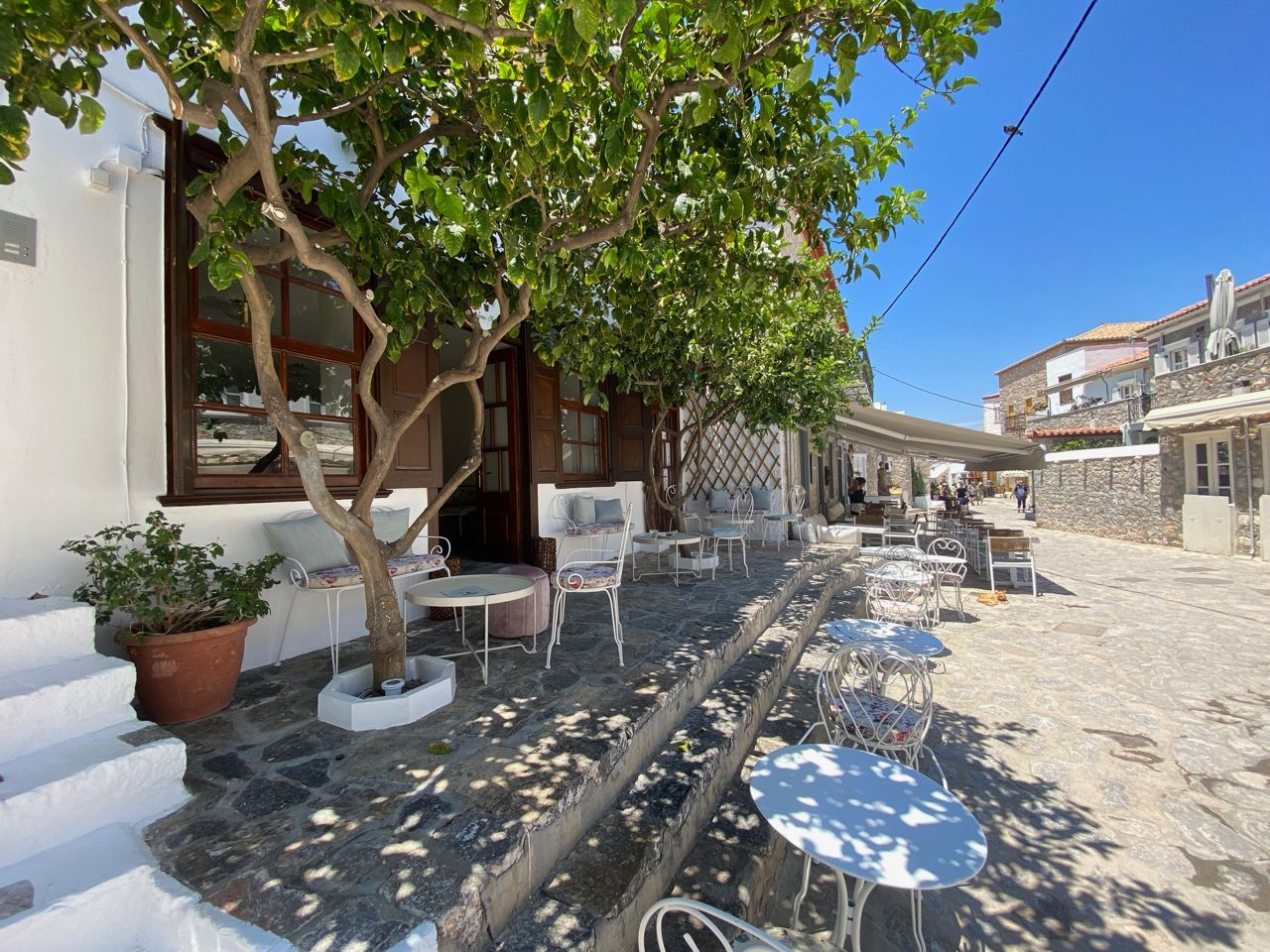 The Lemon Trees Cafe & Bar on Hydra Island Greece
