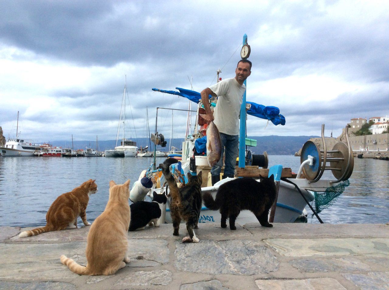 The fishermen and local fishing industry on Hydra Island Greece.
