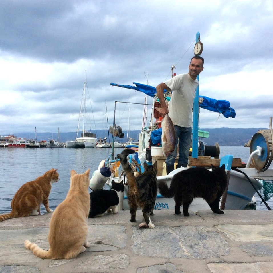 The fishing and farming industry on Hydra Island Greece