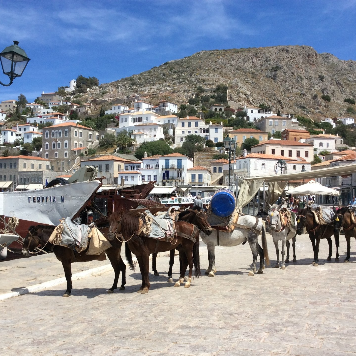 Mule transport for Hydra Island Greece