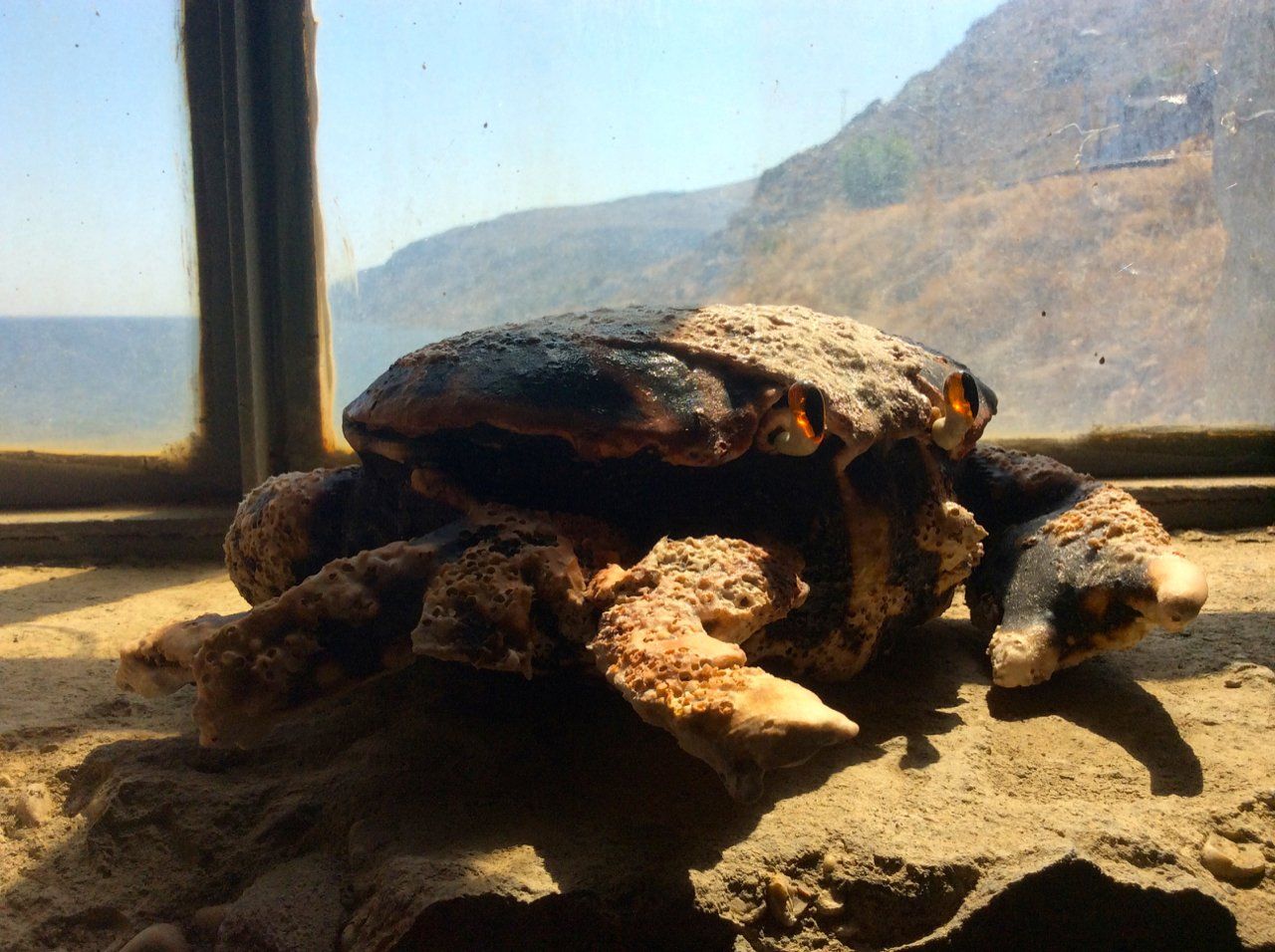 Deste Foundation 2016, Putiferio, Hydra Island Greece