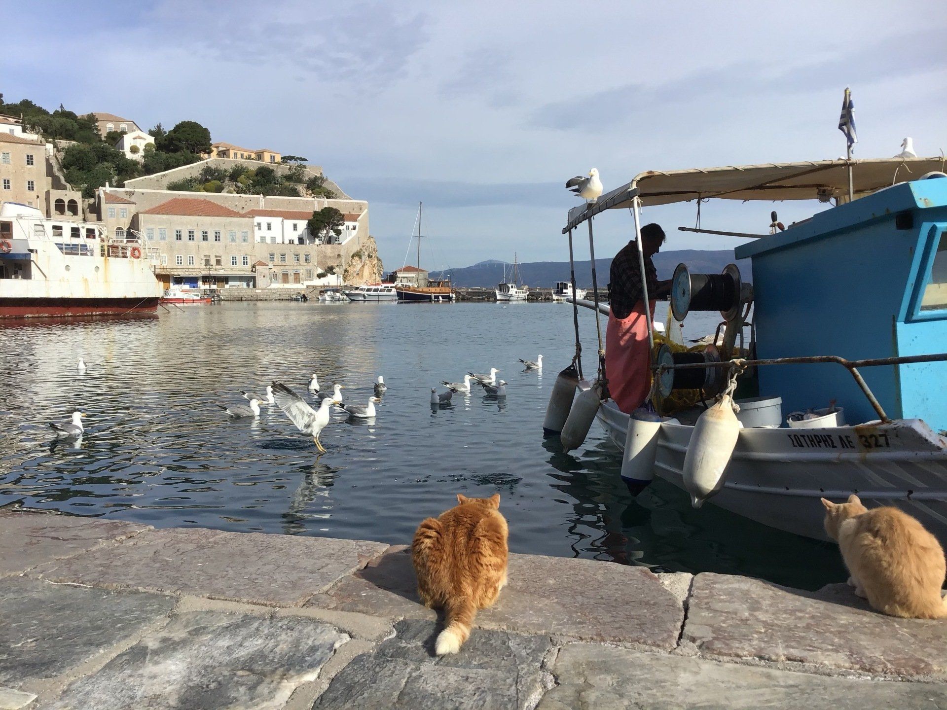 The sea fishing fishermen of Hydra Island Greece.