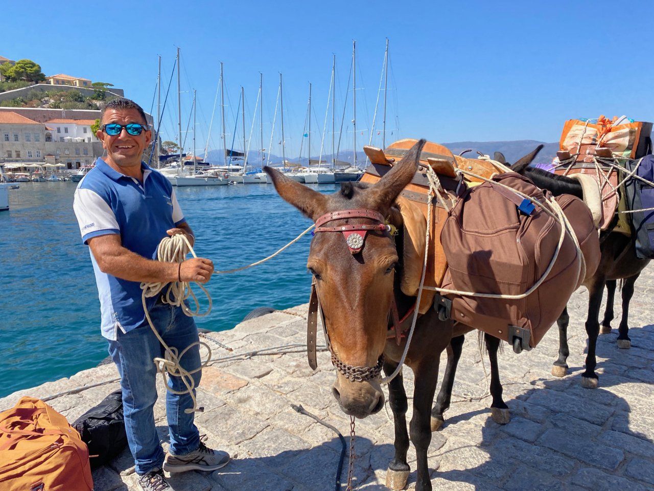 Luggage transfers to accommodation by mule on Hydra Island Greece