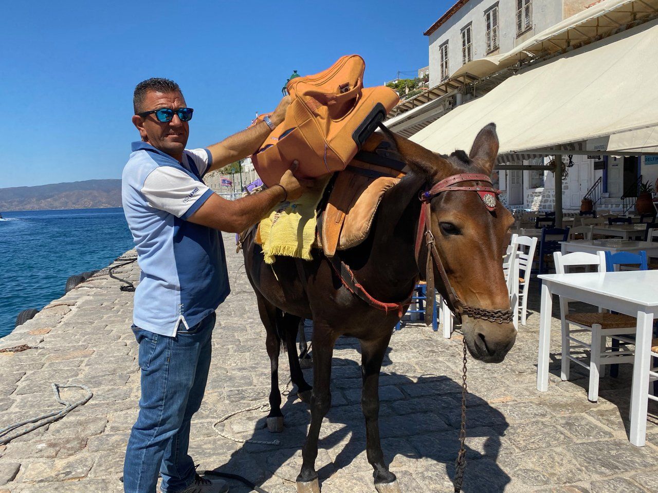 Luggage transfers to your hotels and accommodation on Hydra Island Greece is by mule.