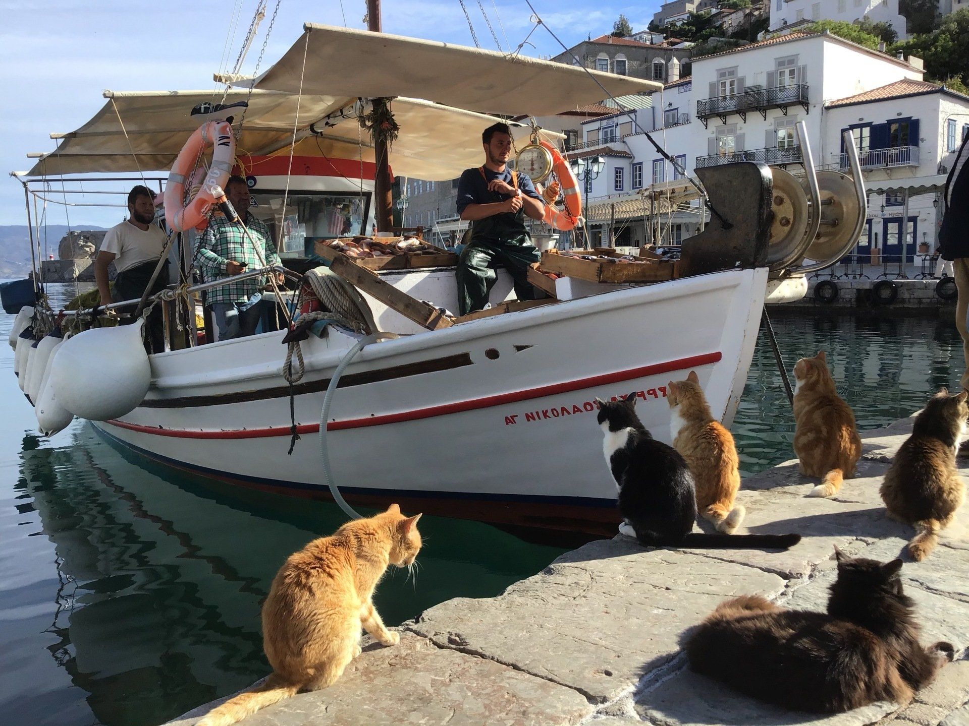 The sea fishing fishermen of Hydra Island Greece.