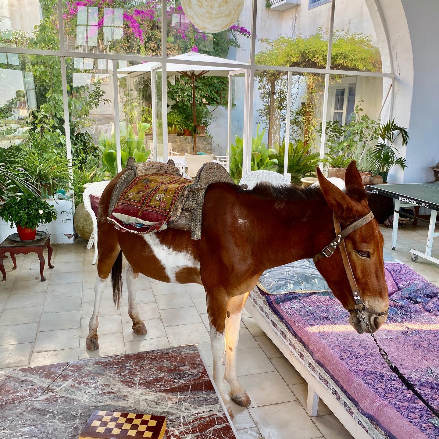 The Old Carpet Factory Studio on Hydra Island Greece