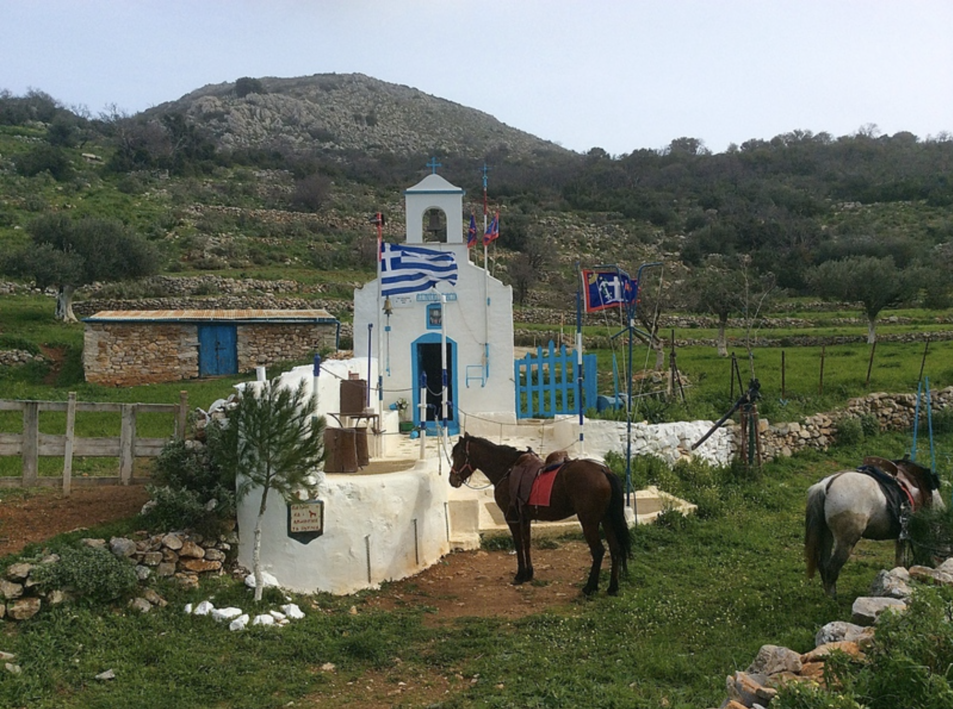 Harriet's Hydra Horses Pevges Trek on Hydra Island Greece