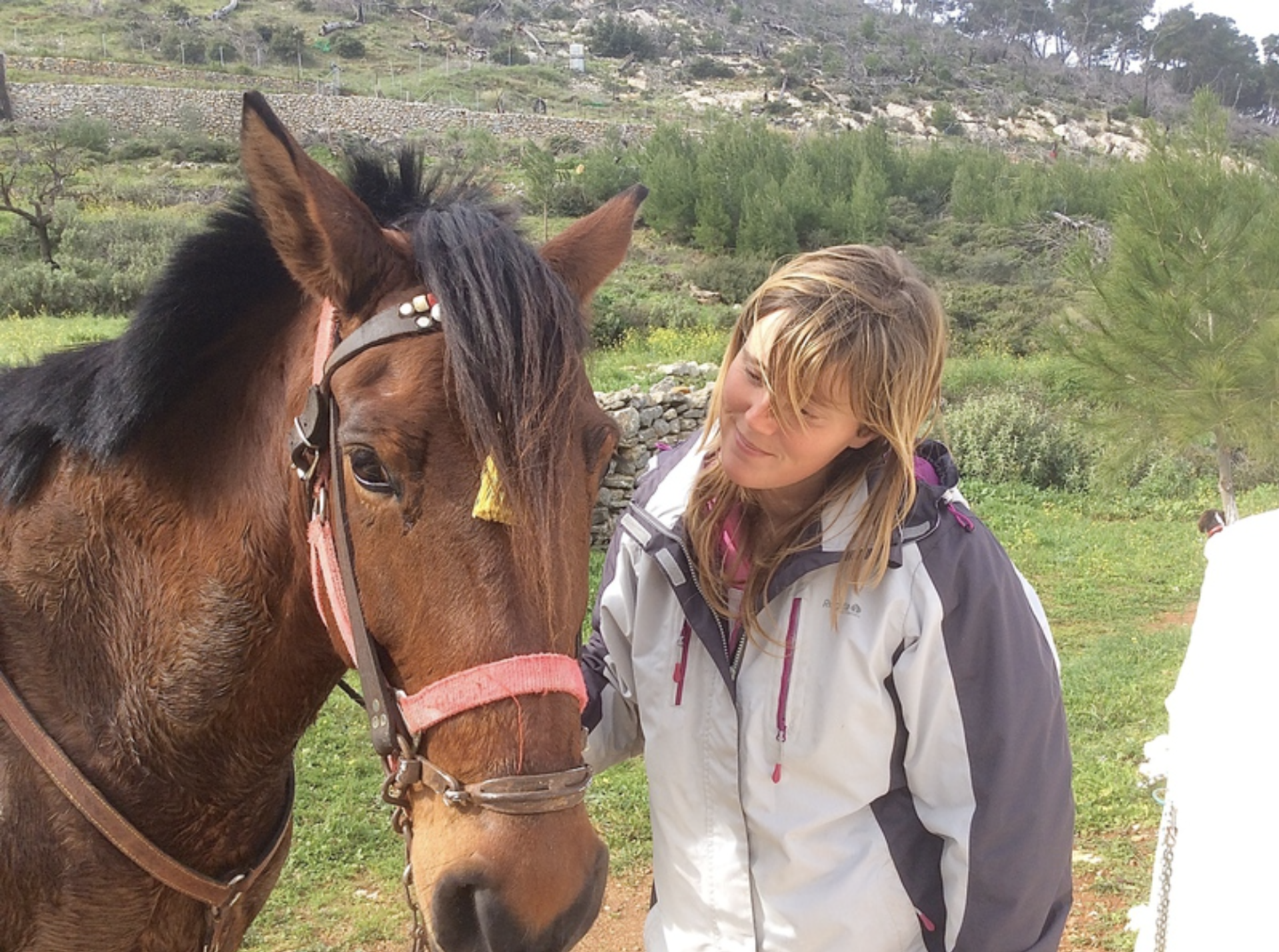 Harriet's Hydra Horses Pevges Trek on Hydra Island Greece