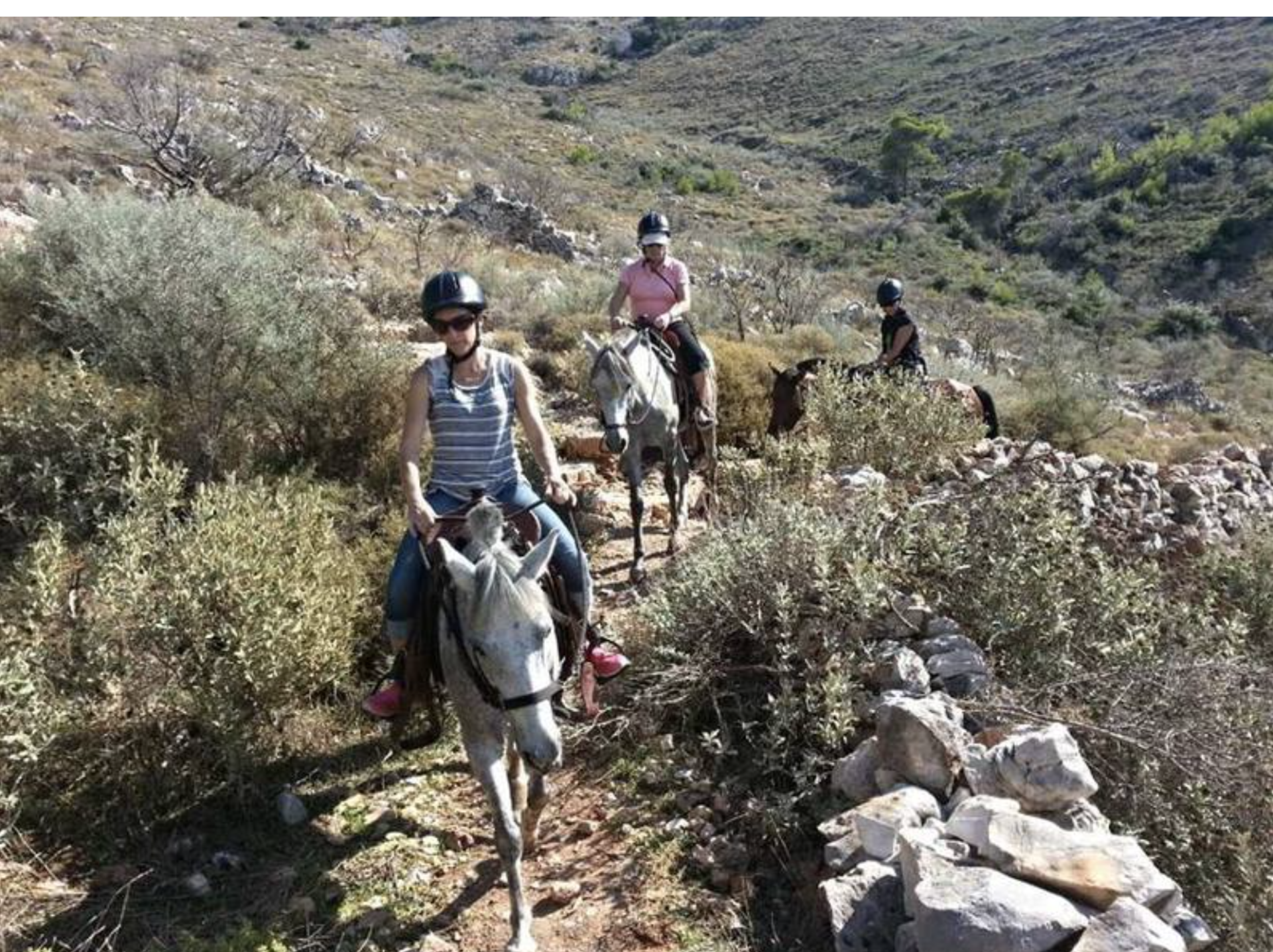Harriet's Hydra Horses St. Matrona Trek on Hydra Island Greece