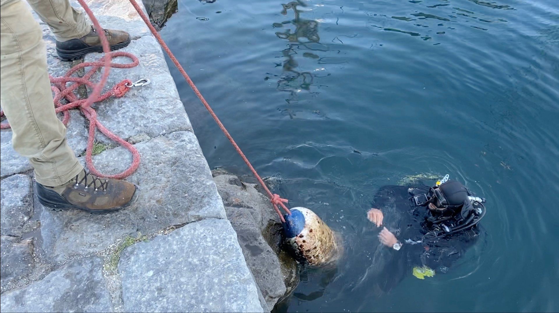 Oct 31 2020 Cleanup operation of seabed rubbish in Hydra Harbour on Hydra Island Greece.