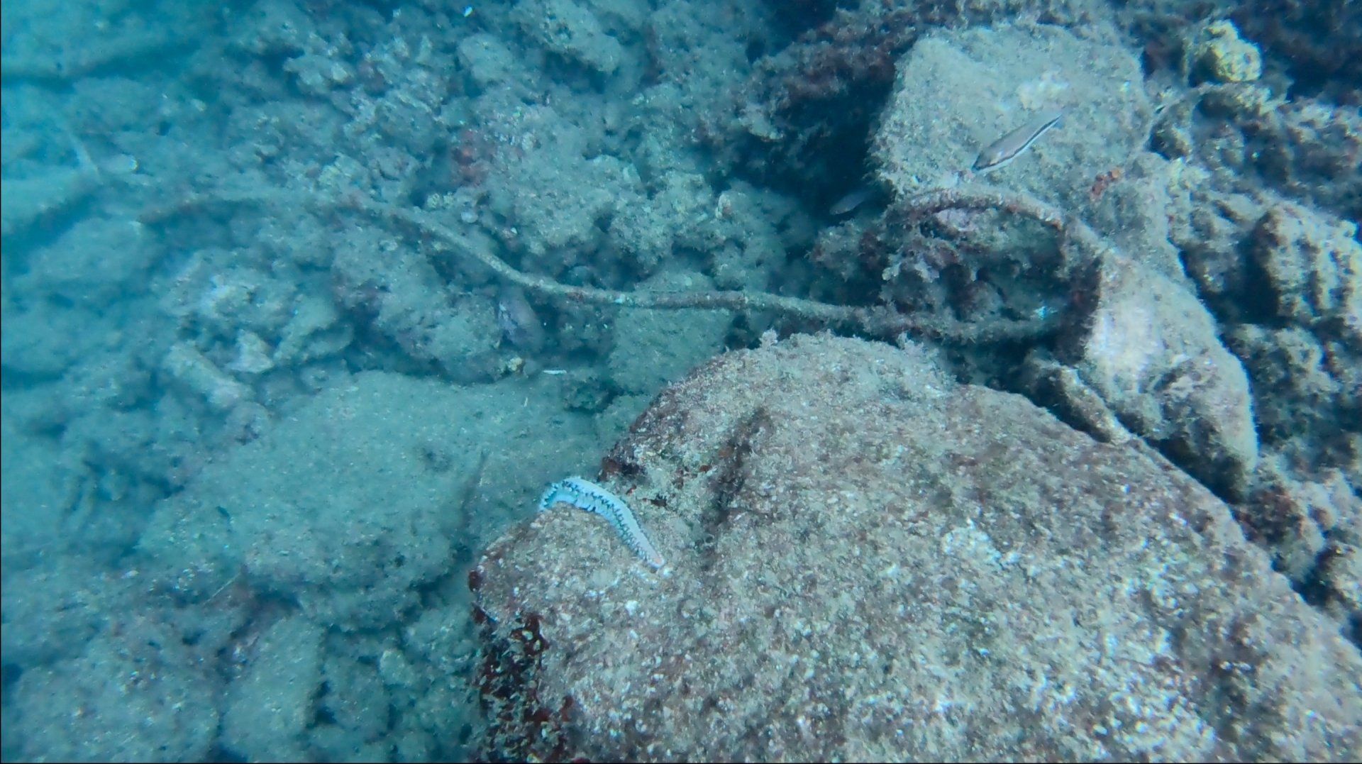 Oct 31 2020 Cleanup operation of seabed rubbish in Hydra Harbour on Hydra Island Greece.
