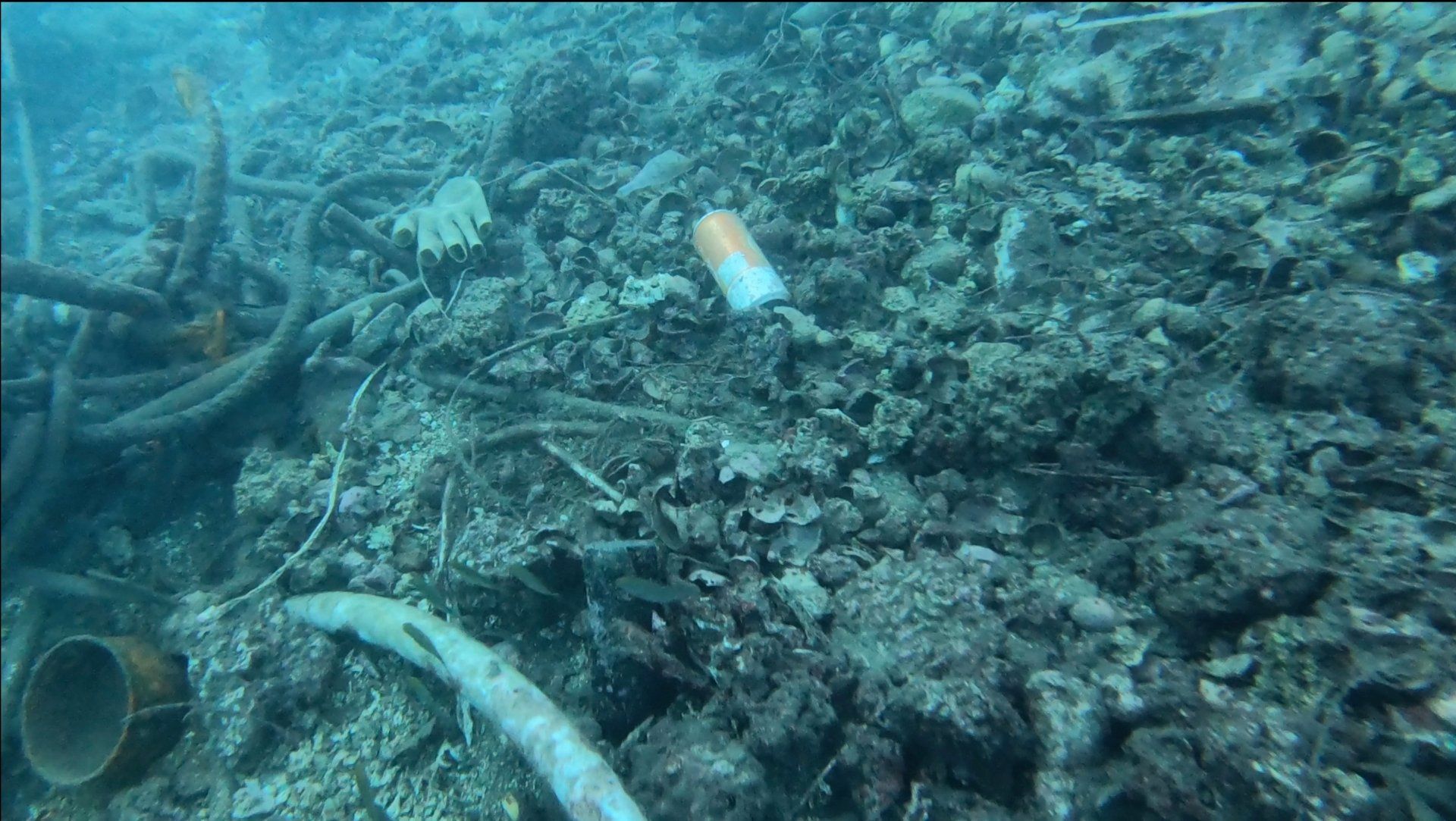 Oct 31 2020 Cleanup operation of seabed rubbish in Hydra Harbour on Hydra Island Greece.