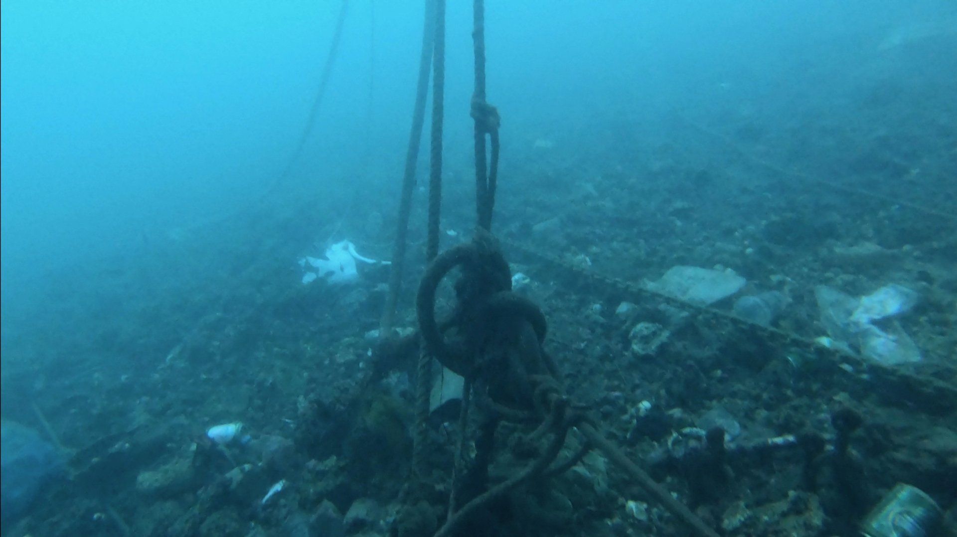 Oct 31 2020 Cleanup operation of seabed rubbish in Hydra Harbour on Hydra Island Greece.