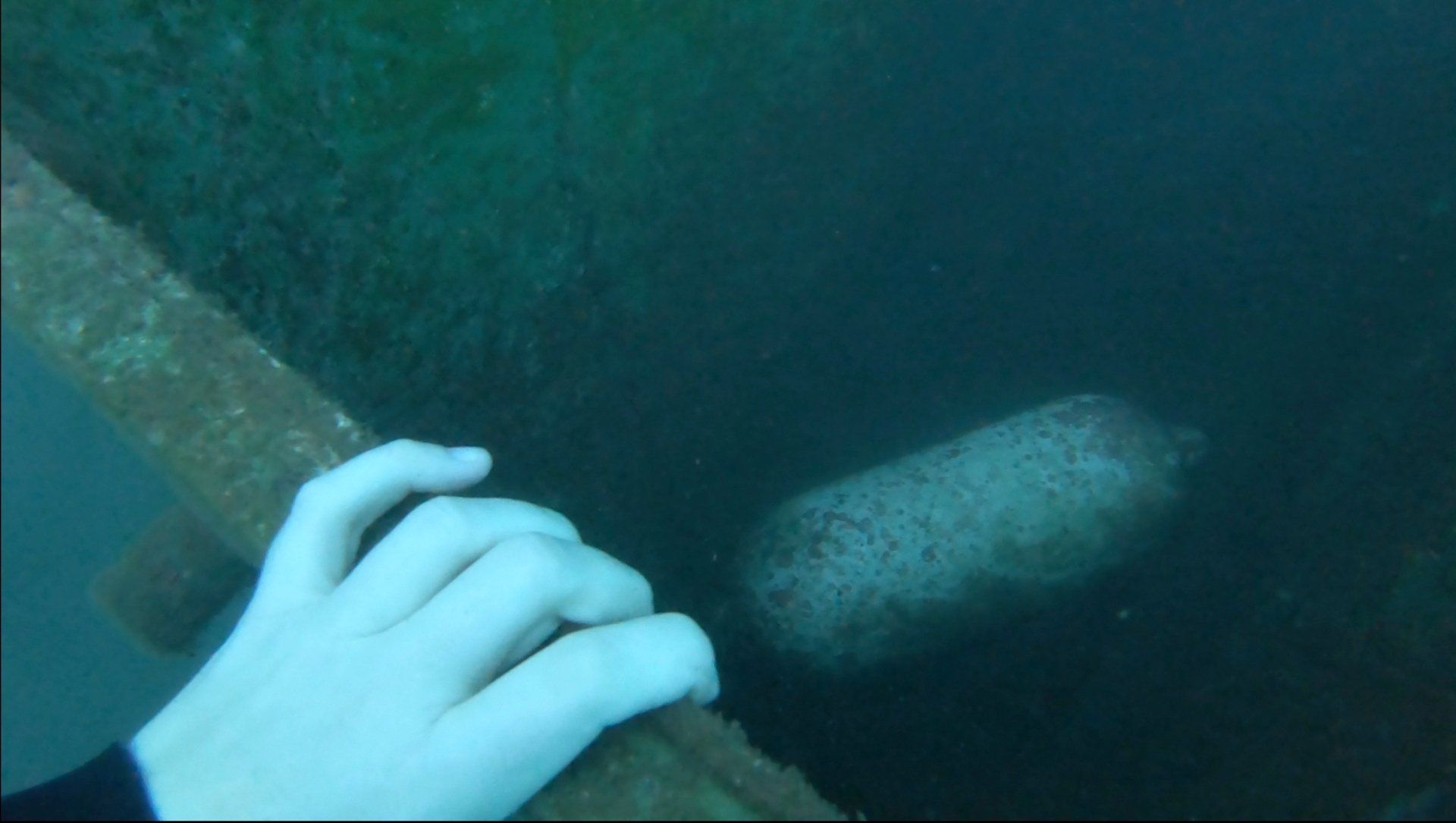 Oct 31 2020 Cleanup operation of seabed rubbish in Hydra Harbour on Hydra Island Greece.