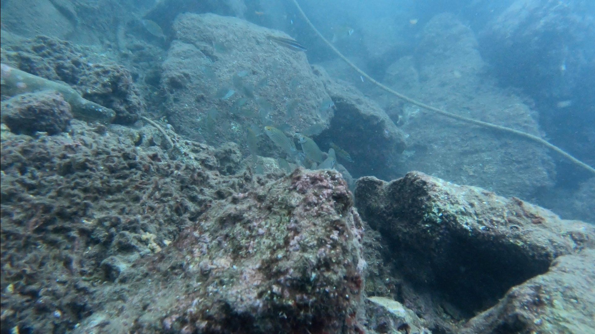 Oct 31 2020 Cleanup operation of seabed rubbish in Hydra Harbour on Hydra Island Greece.