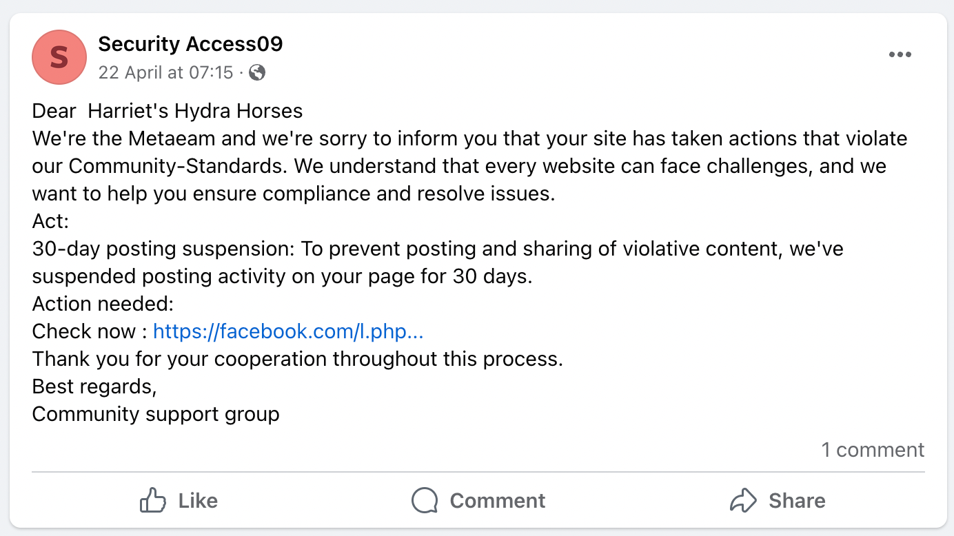 Screenshot of the hackers who attacked Harriet's Hydra Horses FB page at the end of April 2024