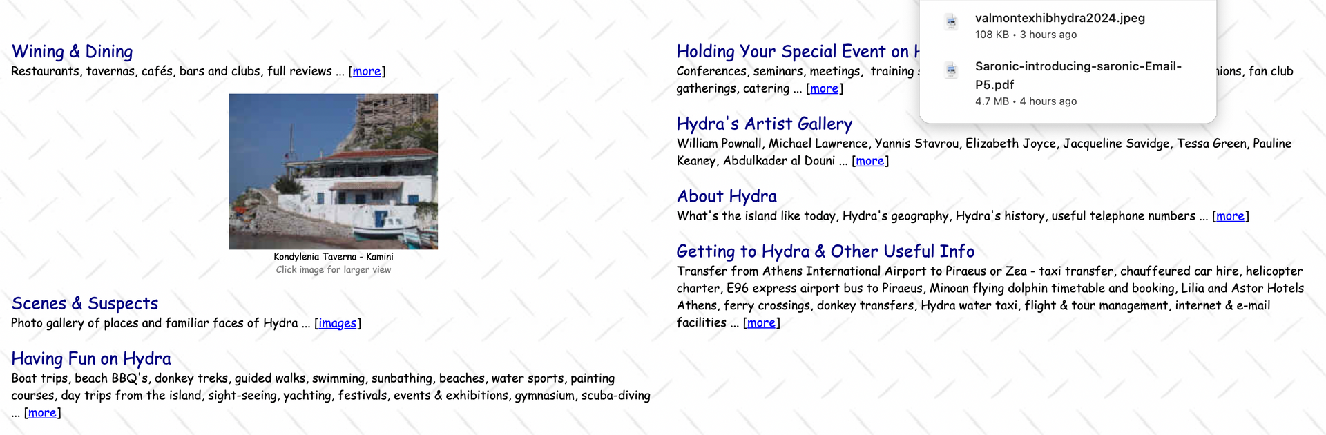 Original SaronicNet.com website home page menu from 2002 by Kelsey Edwards