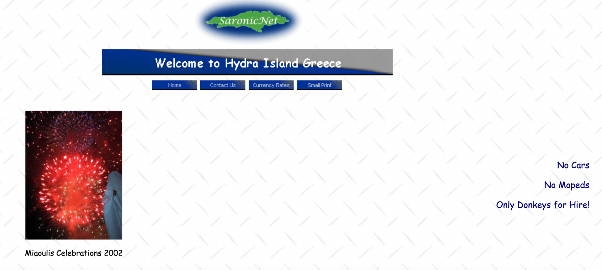 Original SaronicNet.com website logo from 2002 by Kelsey Edwards