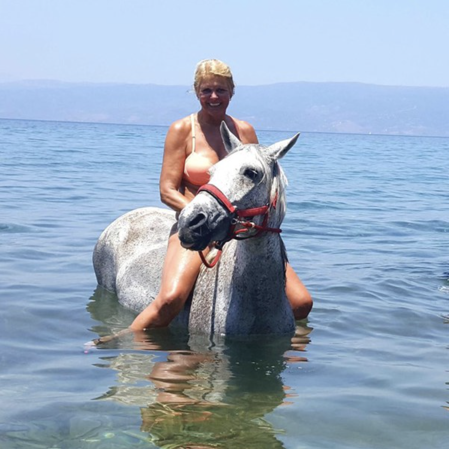 Harriet's Hydra Horses Seahorse Trek on Hydra Island Greece