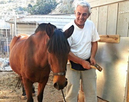 Vassilis Sarris - Horse treks on Hydra Island Greece with Harriet Jarman of Harrie's Hydra Horses