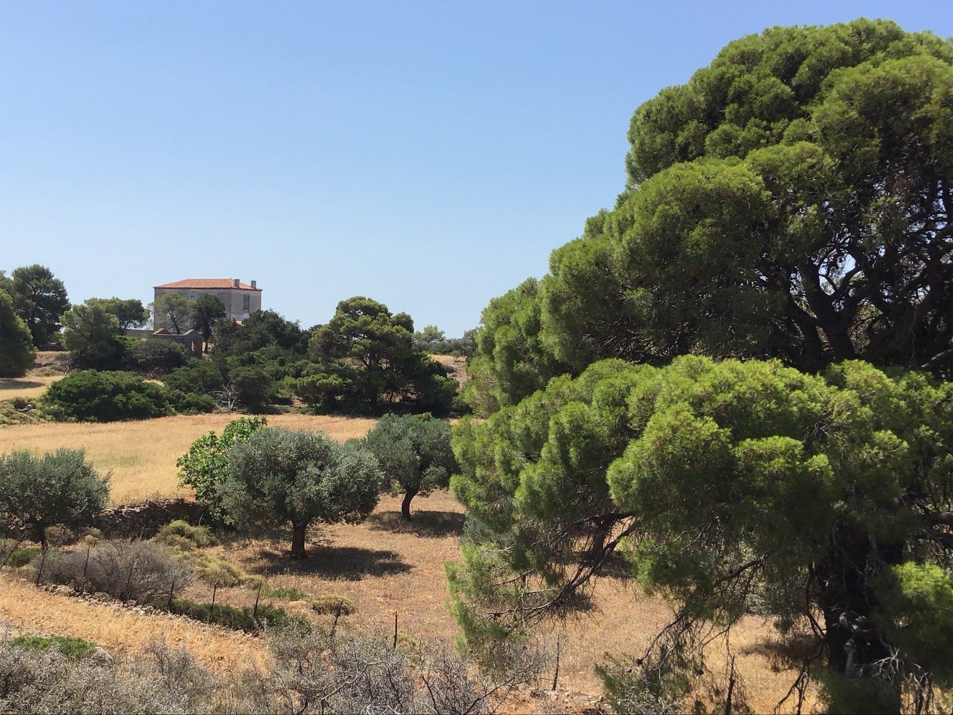 Views of Episkopi in the centre of Hydra Island Greece. A wonderful long walk on an off-season day with phenomenal views as a reward while you eat your picnic.