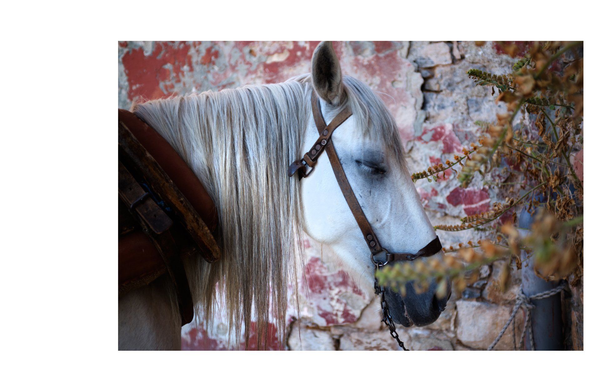 4 © Kleopatra Haritou Hydra Island Greece photography collection.